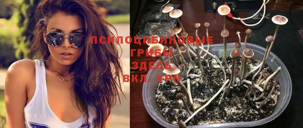 молекула духа Наволоки