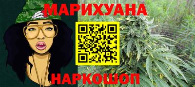 стафф Новозыбков