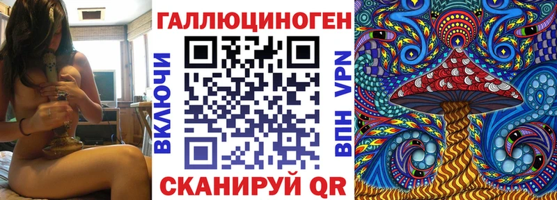 Псилоцибиновые грибы Cubensis  Псков 