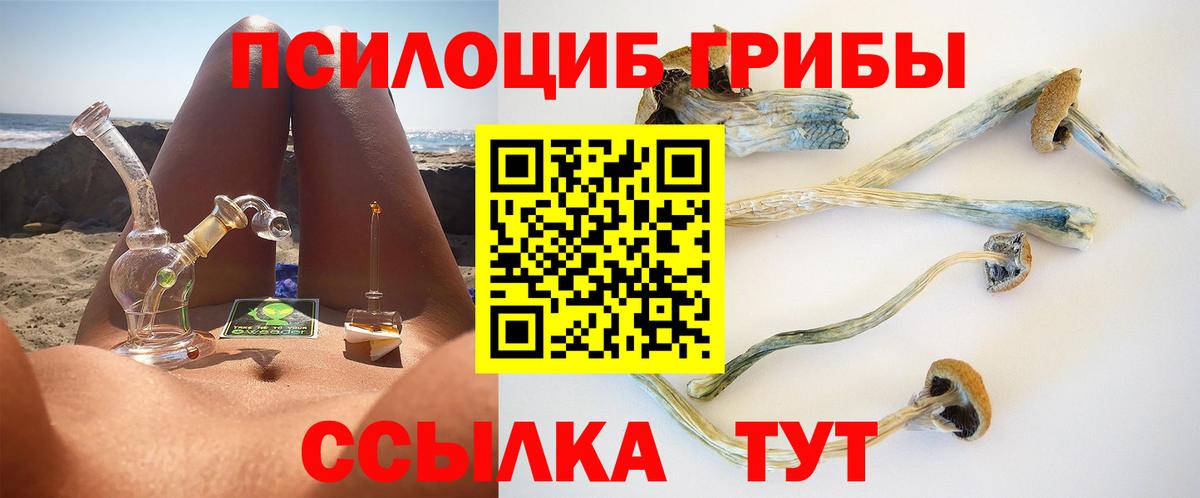 Псков  Псилоцибиновые грибы мицелий  Вход с VPN 